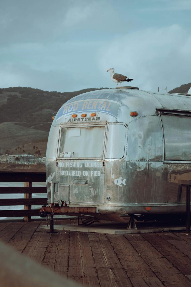 A seagull perches on an Airstream trailer with vintage signage at Pismo Beach Pier.