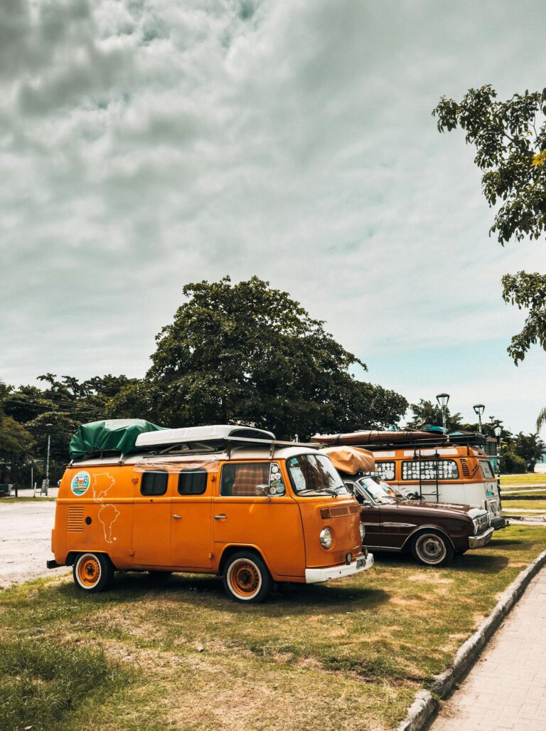 Vintage Volkswagen Westfalia camper vans parked amidst lush trees in Brazil under an overcast sky.